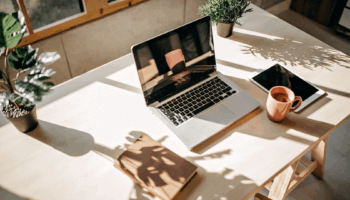 Employment Newsletter: Edition 20